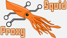 Logo-Squid Proxy